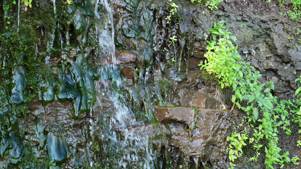 Small Waterfall cascading down rocks and plants