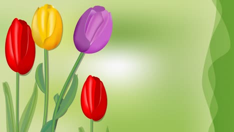 hermosa pancarta de cumpleaños feliz con tulipanes creciendo en un fondo verde borroso, inscripción animada compuesta de letras verdes, bonita animación de saludo, imágenes de la fiesta de felicitación