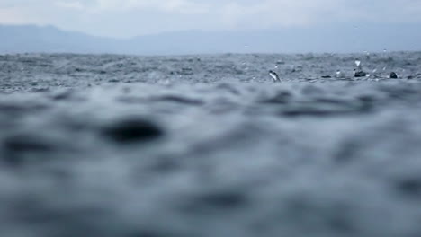 slow motion of rain dropping into the endless ocean. it briefly bounces back to the air after it hits the sea surface.