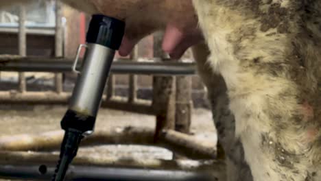 close up shot of automatic milking robot arm machine at cattle dairy farm