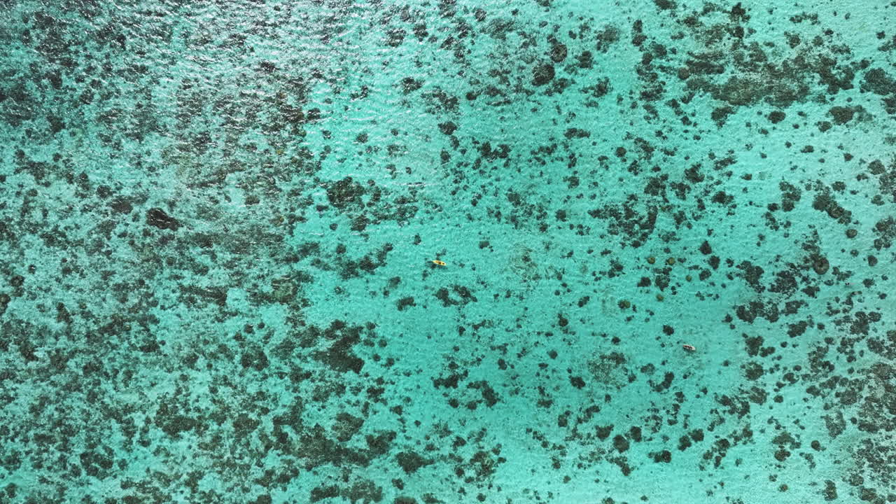 Aerial top view of kayak sailing and snorkeler swimming on South Pacific Ocean lagoon of Cook Islands. Turquoise water.