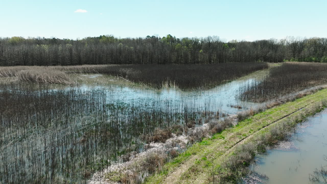Bell slough wildlife area with wetlands and bare trees, sunny day, arkansas, usa, aerial view