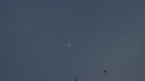 cielo nocturno con media luna en las nubes, lapso de tiempo.