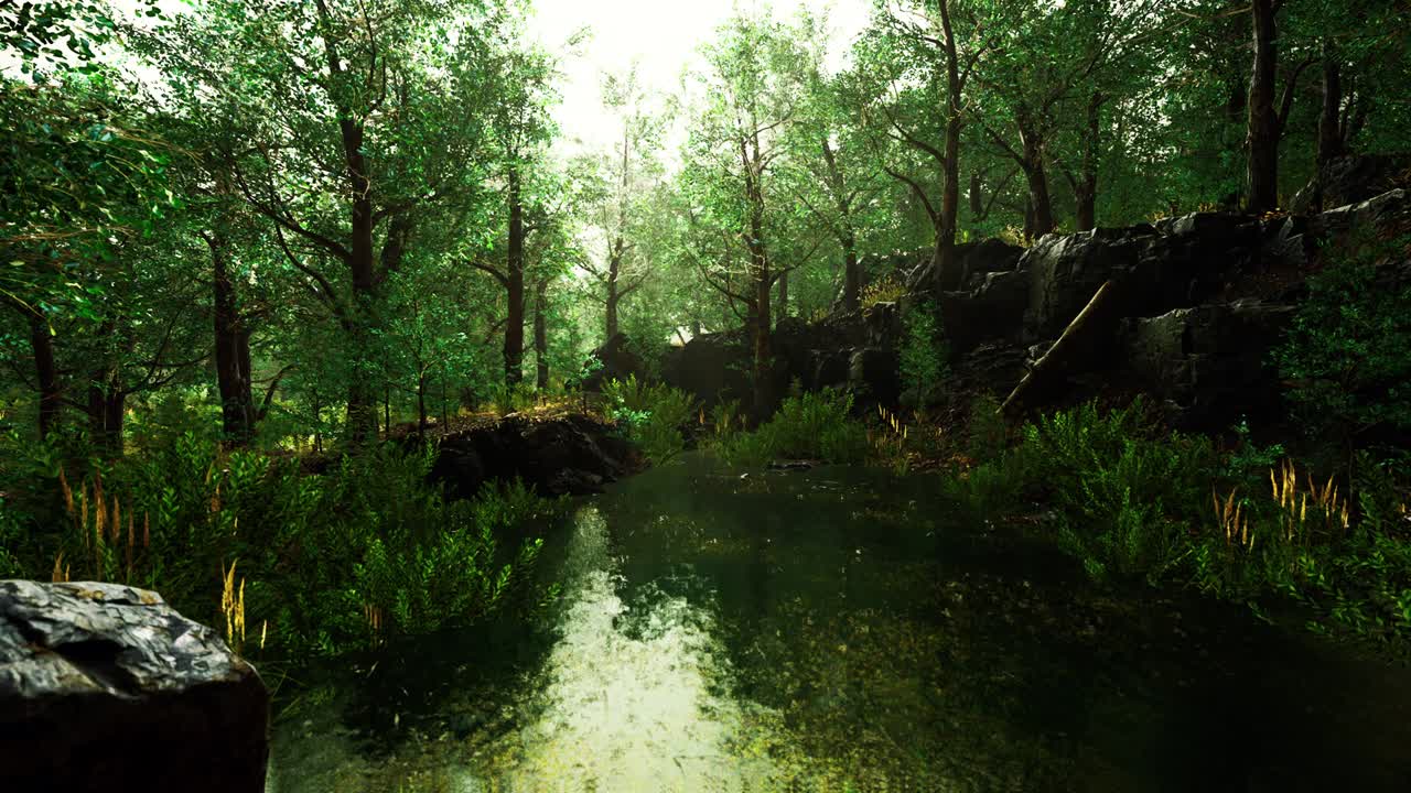 paisaje forestal de verano con árboles caducifolios verdes en la orilla del pequeño estanque