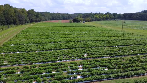 Fort-Mill-Reaper-Farm-plantation,-South-Carolina,-Aerial-View