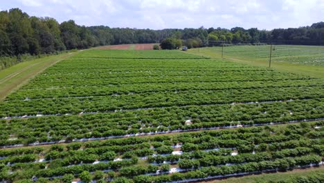 fort mill reaper farm plantation, south carolina, aerial view