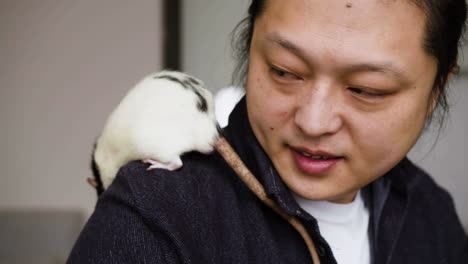 man playing with rats