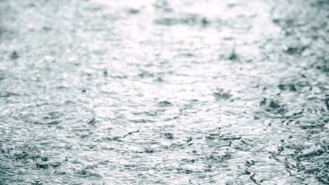 lluvia en el pavimento