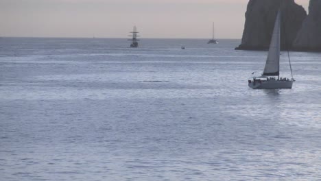 Hermosa-Ballena-Jorobada-Siguiendo-Un-Velero-En-El-Puerto-De-Cabo-San-Lucas-México