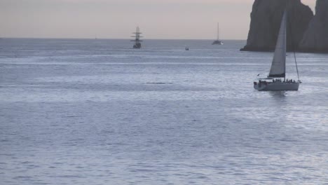 hermosa ballena jorobada siguiendo un velero en el puerto de cabo san lucas méxico