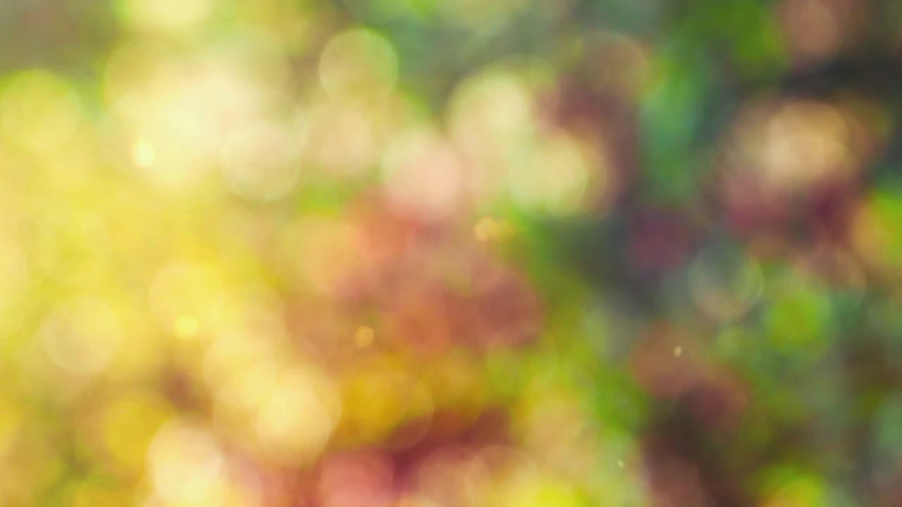 보케 모션과 함께 추상적인 색상 배경