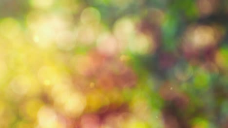 fondo de color abstracto con movimiento bokeh