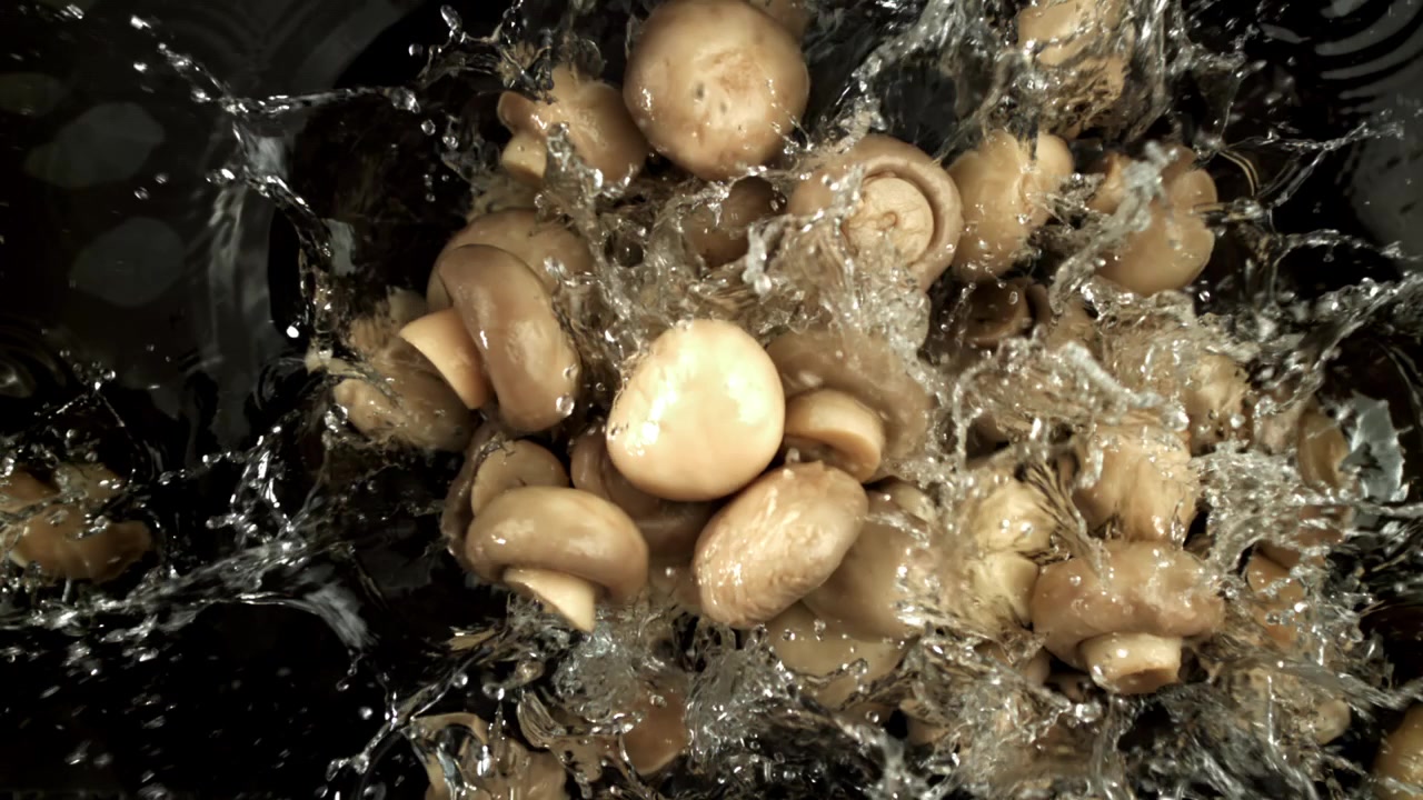 Ferske sopp vaskes med vann i sakte film