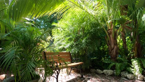 secluded garden nook with wooden bench amid lush tropical plants