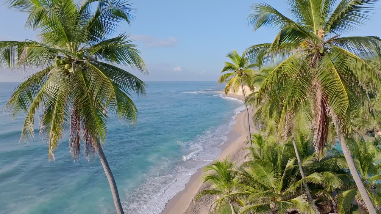 Praia tropical exótica de areia com coqueiros em um relaxante dia de verão caribenho.