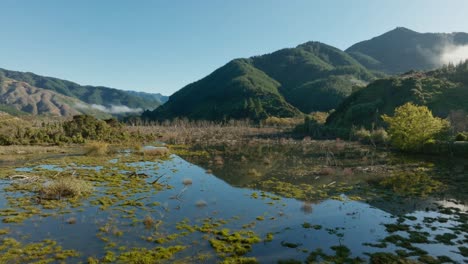 Aerial-flight-over-flooded-swampy-wetlands-landscape-with-native-flora-and-fauna-surrounded-by-rugged-mountains-in-Te-Paranui,-South-Island-of-New-Zealand-Aotearoa