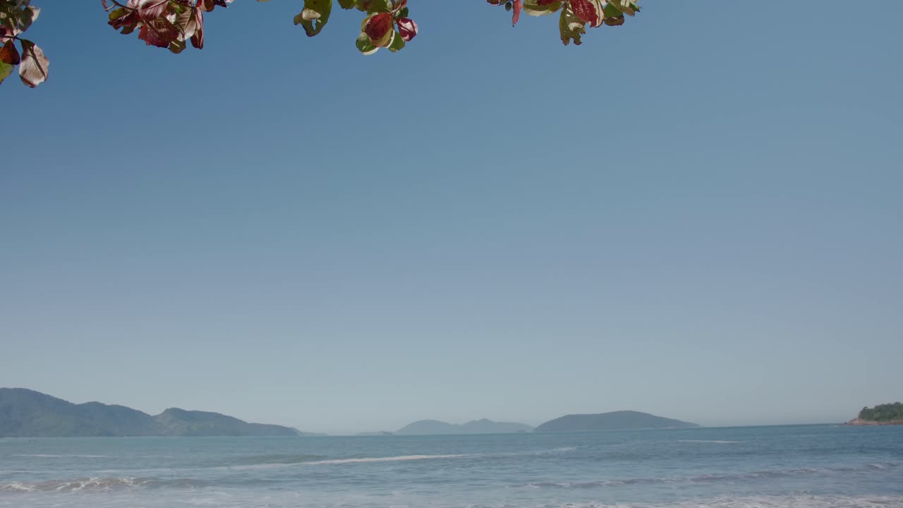 열대 해변 카메라 틸트 4k