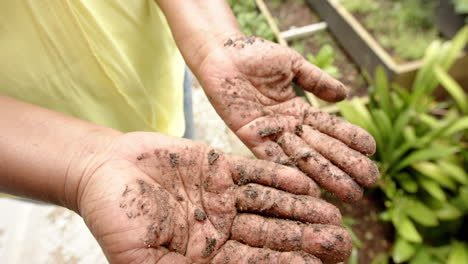 Manos-Sucias-De-Una-Anciana-Afroamericana-Cuidando-Plantas-En-Un-Jardín-Soleado,-Cámara-Lenta