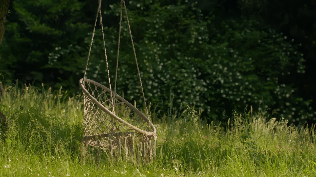 Zoomed close-up of bench hanging from tree with wind blowing tall grass at golden hour in Lake Como, Italy (Lago di Como)