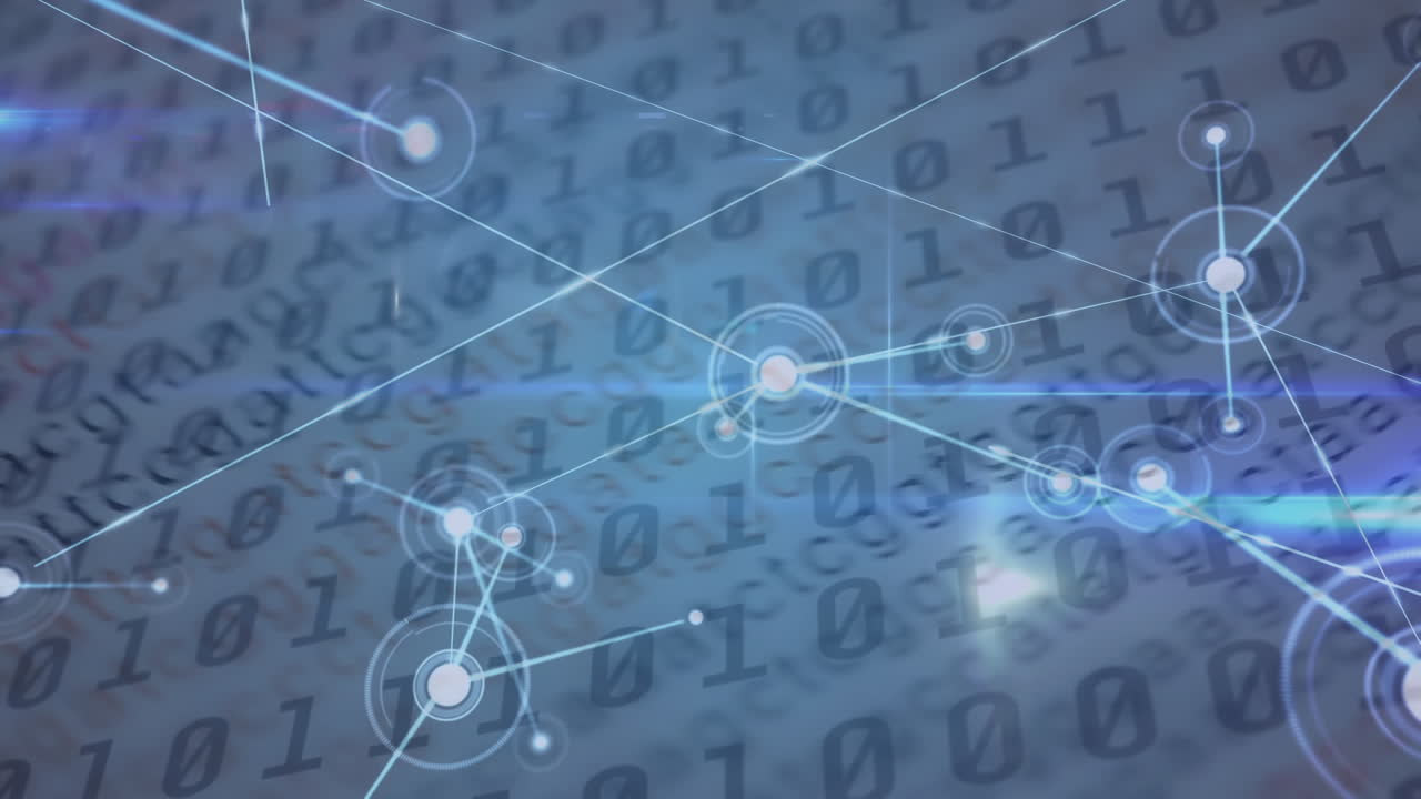 숫자 변경 및 이진 코딩으로 연결 네트워크의 애니메이션