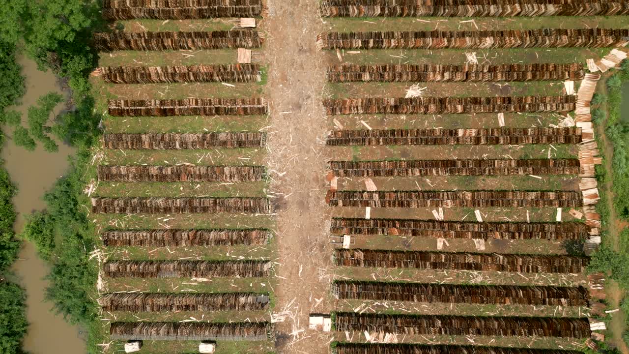 Aerial View of a Wood Drying Yard