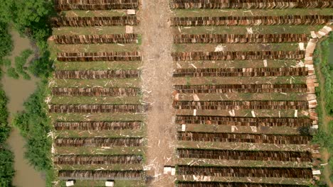 aerial view of a wood drying yard