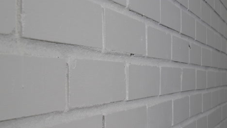 white brick wall background. side shot