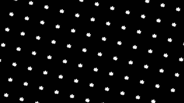 White Maple Leaf Pattern on Black Background