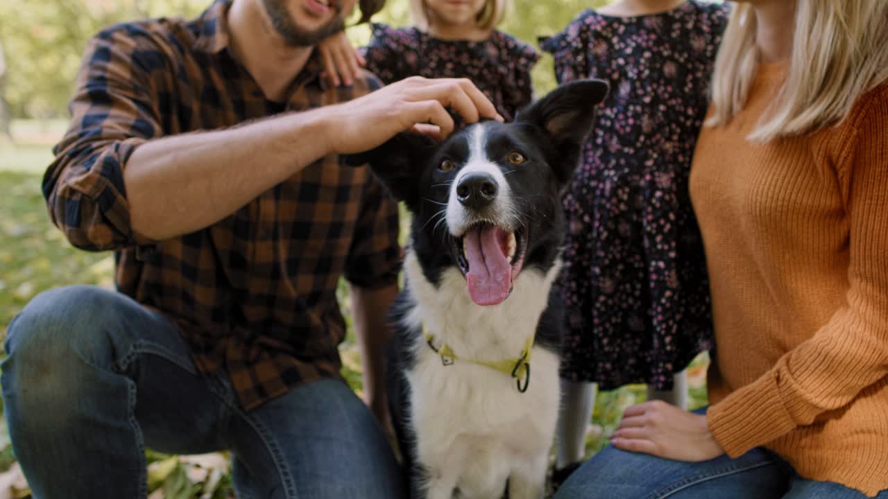 empuja la vista de la familia con el perro en los bosques de otoño