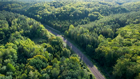 Autumnal-Forest-Woods-With-Railway-During-Sunny-Day-Near-Witomino