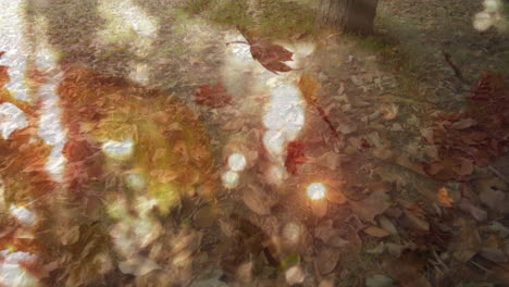 glowing light spots creating warm atmosphere, autumn leaves covering ground
