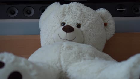 sliding horizontal motion of a big white teddy bear on the floor in front of a tv unit