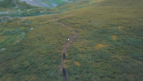 montar a caballo en un paisaje montañoso