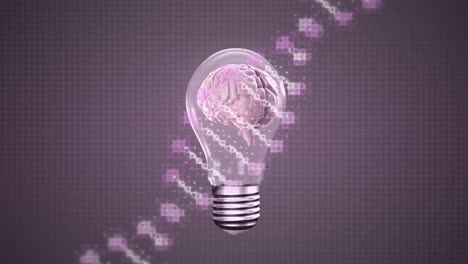 Animation-of-lightbulb-with-brain-over-dna-strand-on-gray-background