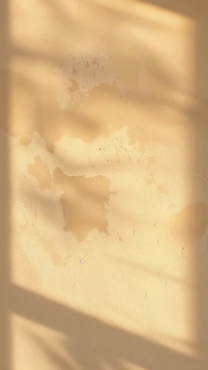 Dikey video: Alçak güneş pencere-ızgara ışık yaması, alçı duvarda değişen bitki gölgesi
