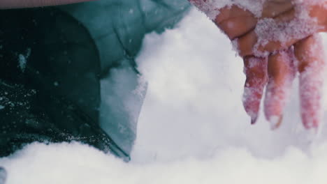 hand of woman playing black phoenix shakes off snow closeup