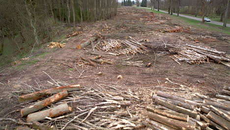 Vuelo-Aéreo-Hacia-Atrás-Sobre-La-Degradación-Forestal-Con-La-Tala-De-Madera-En-La-Naturaleza