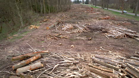 Aerial backwards flight over Forest degradation with Timber Harvesting in Nature
