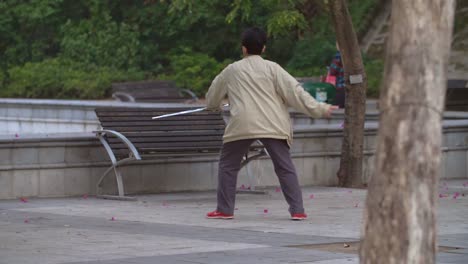 Lady-Performing-Tai-Chi