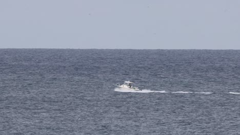 speedboat cruising over calm sea waters