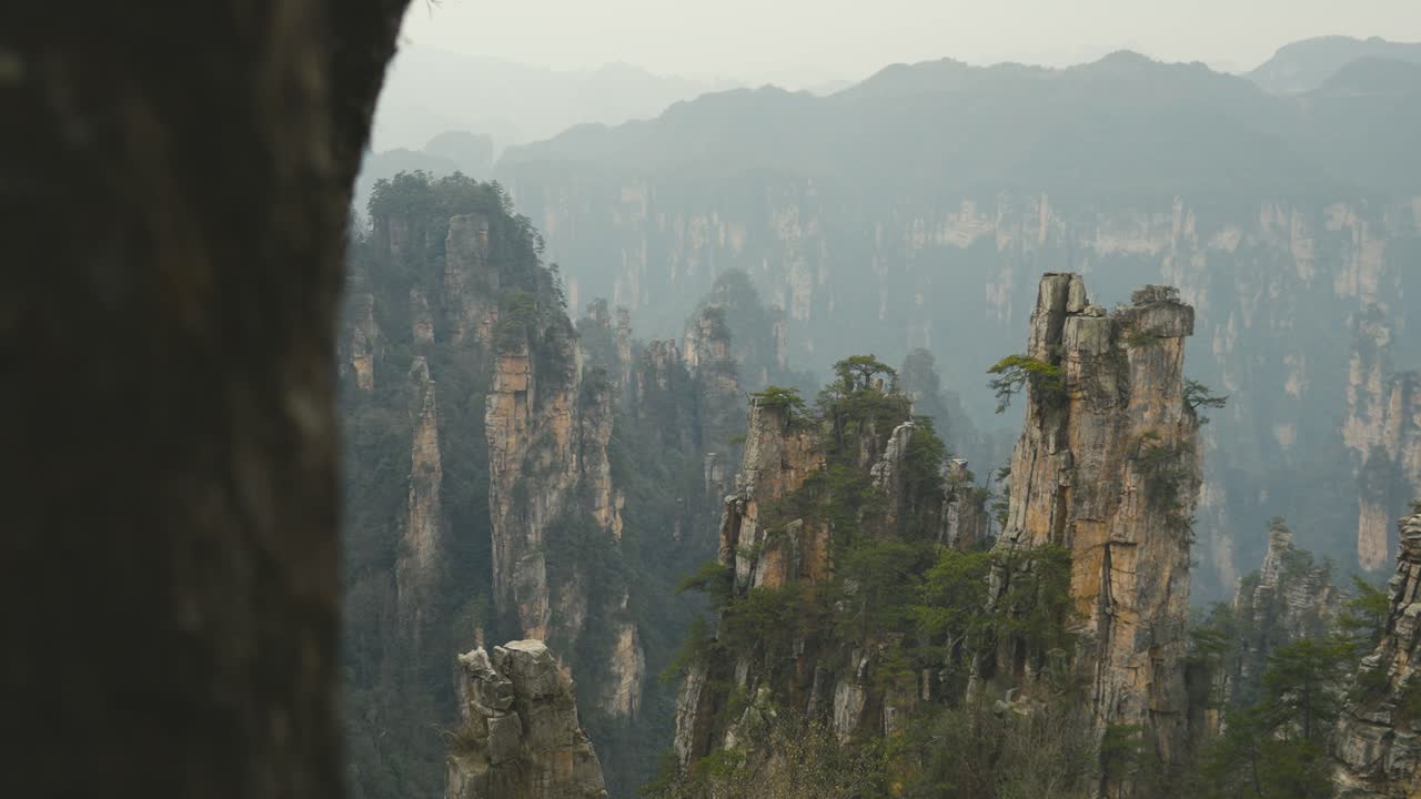 A scenic shot of Zhangjiajie’s famous rock formations framed by nearby tree trunks, showcasing the dramatic peaks and lush greenery of this iconic Chinese landscape