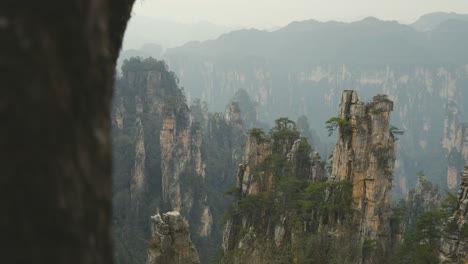 a scenic shot of zhangjiajie’s famous rock formations framed by nearby tree trunks, showcasing the dramatic peaks and lush greenery of this iconic chinese landscape