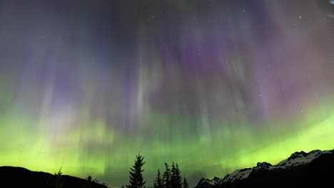 scenic aurora borealis northern lights - timelapse