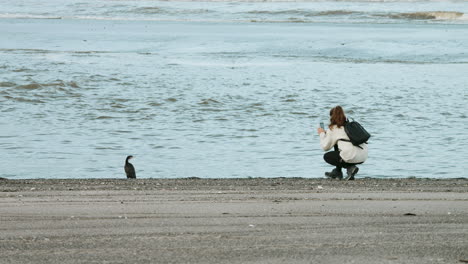 Una-Mujer-Tomando-Una-Foto-De-Un-Cormorán-Cormorán-De-Varios-Colores-En-La-Orilla-Del-Mar