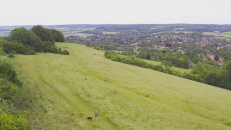 tomada aérea de un avión no tripulado de una mujer paseando al perro en una colina en el campo de verano inglés del reino unido streatley berkshire