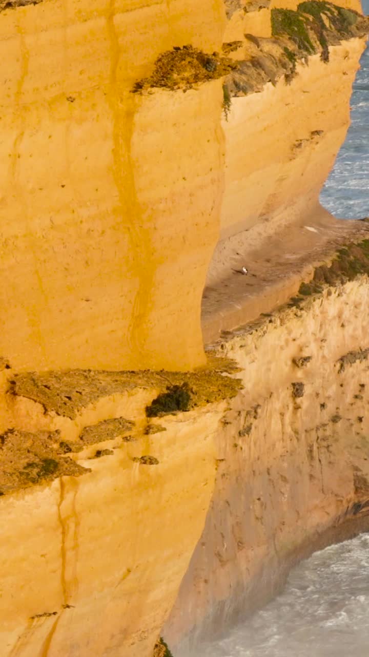 olas dinámicas chocan contra los icónicos acantilados de piedra caliza de los doce apóstoles, capturados en la luz natural del día a lo largo de la gran carretera del océano