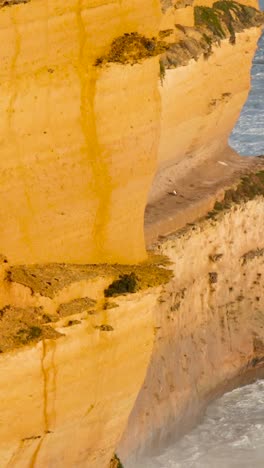 olas dinámicas chocan contra los icónicos acantilados de piedra caliza de los doce apóstoles, capturados en la luz natural del día a lo largo de la gran carretera del océano