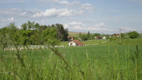 charming countryside farmhouse in nature's embrace, tranquil retreat