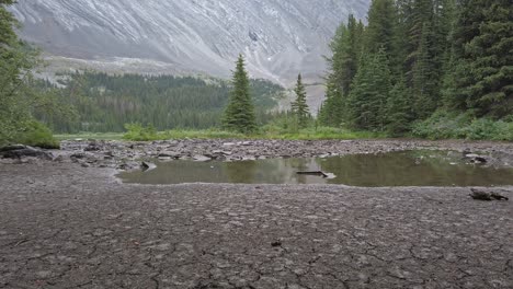 Pfütze-Im-Bergwald-Tilt-Rockies-Kananaskis-Alberta-Kanada