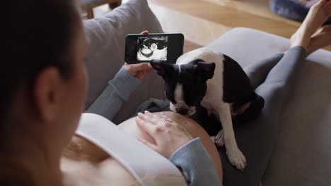 pregnant woman looking on medical scans.